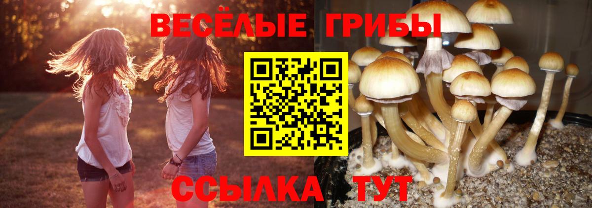 Галлюциногенные грибы прущие грибы  Вход с VPN  Псилоцибиновые грибы MAGIC MUSHROOMS  Кузнецк 